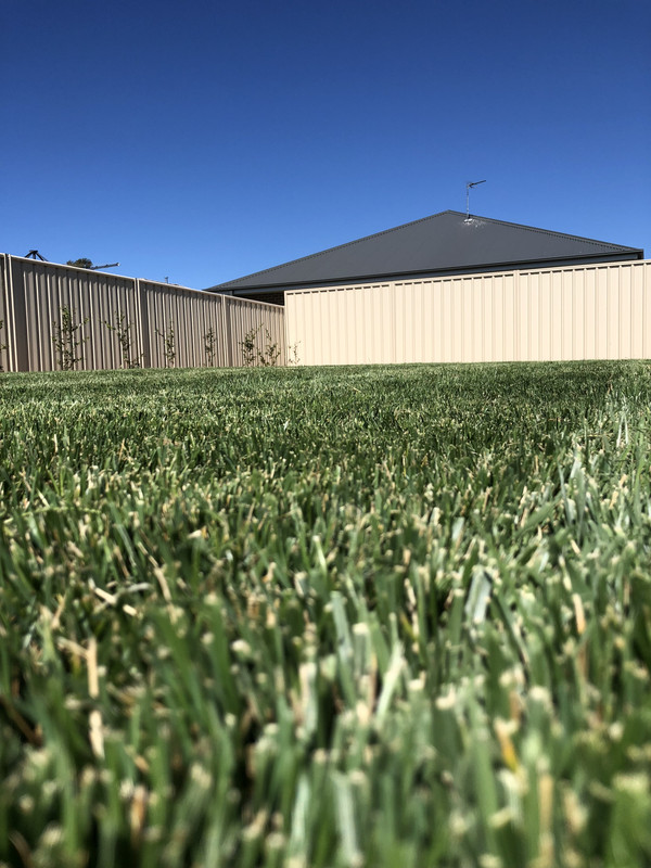 AEC83FA4-51A0-4807-9936-ADE8F10AA8D5