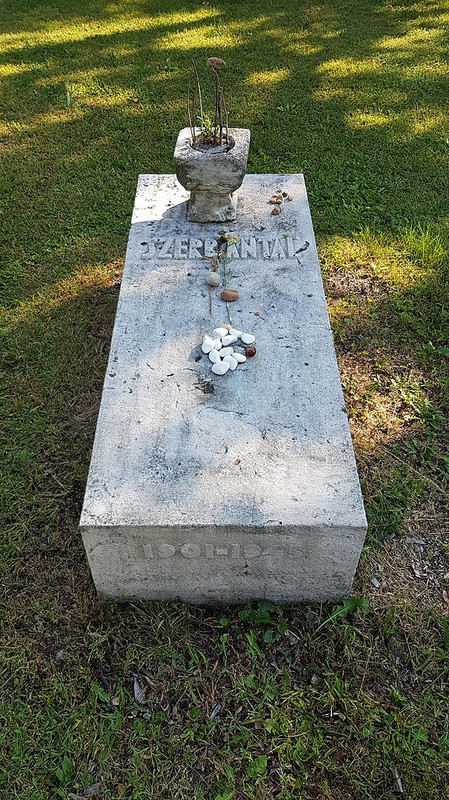 Szerb-Antal-s-rja-a-Fiumei-ti-s-rkertben-2020-09-12-15-55-30