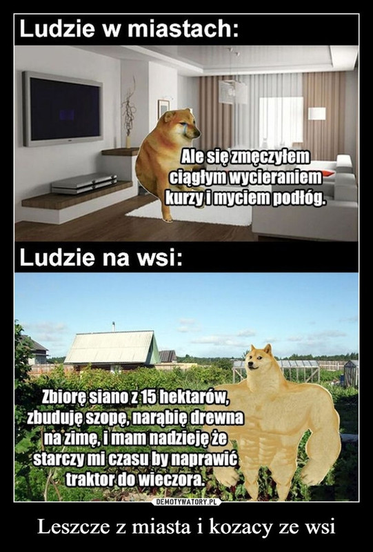 humor.jpg