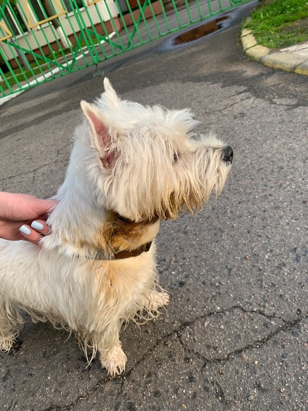 0686E856-8CCC-4766-9E1C-865A684600A1