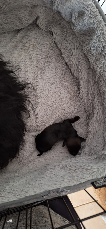 [Image: 20250419-112805.jpg]