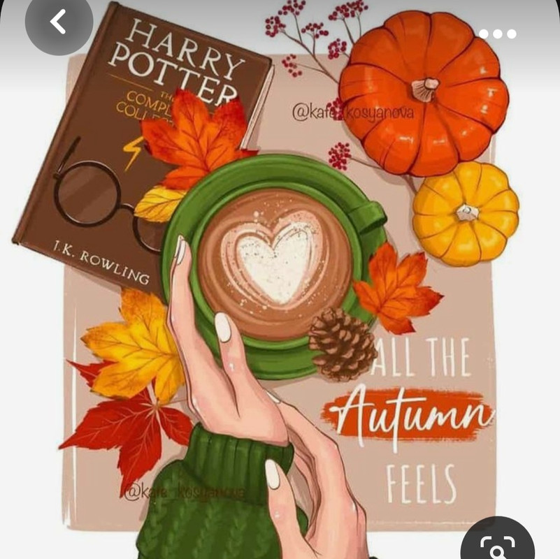 Screenshot_20230924_001916_Pinterest