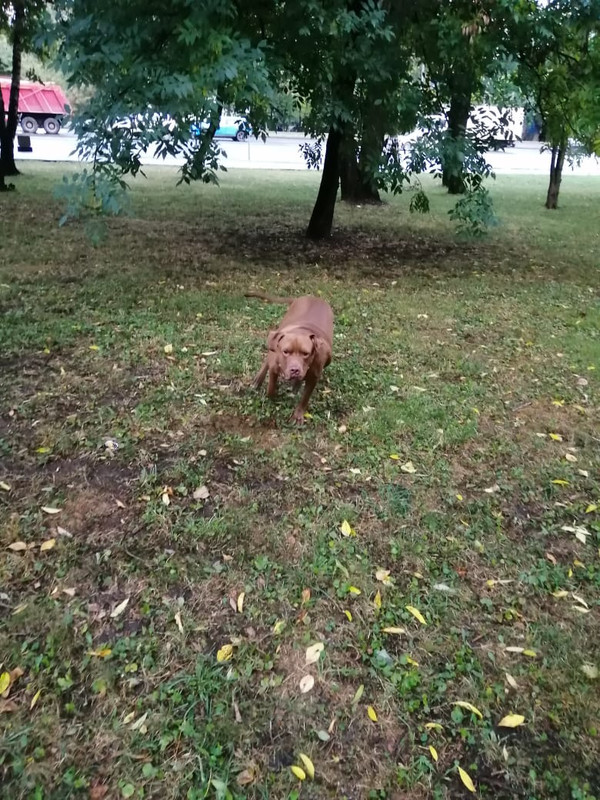 27FE39E7-44DC-4DD7-B30B-6CD4767077CD