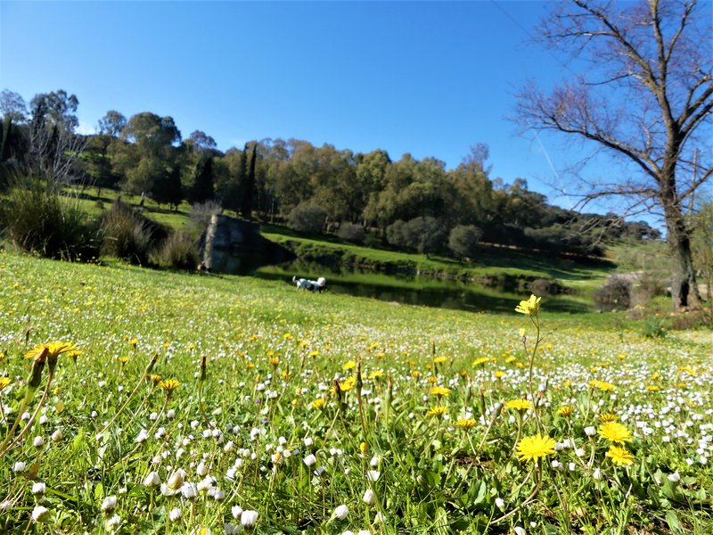 PARQUE NACIONAL DE MONFRAGÜE-2020/2023 - EXTREMADURA Y SUS PUEBLOS -2010-2023 (35)