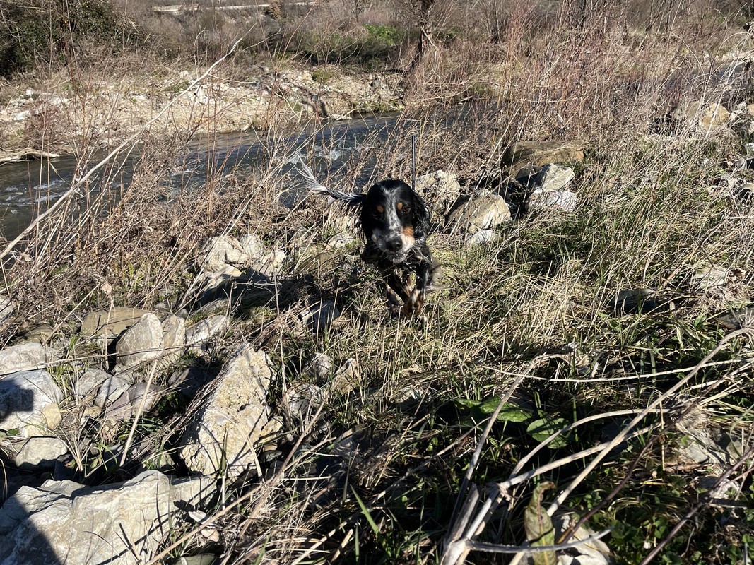 E139736B-5A1D-4128-B735-BCBBD2C926E3