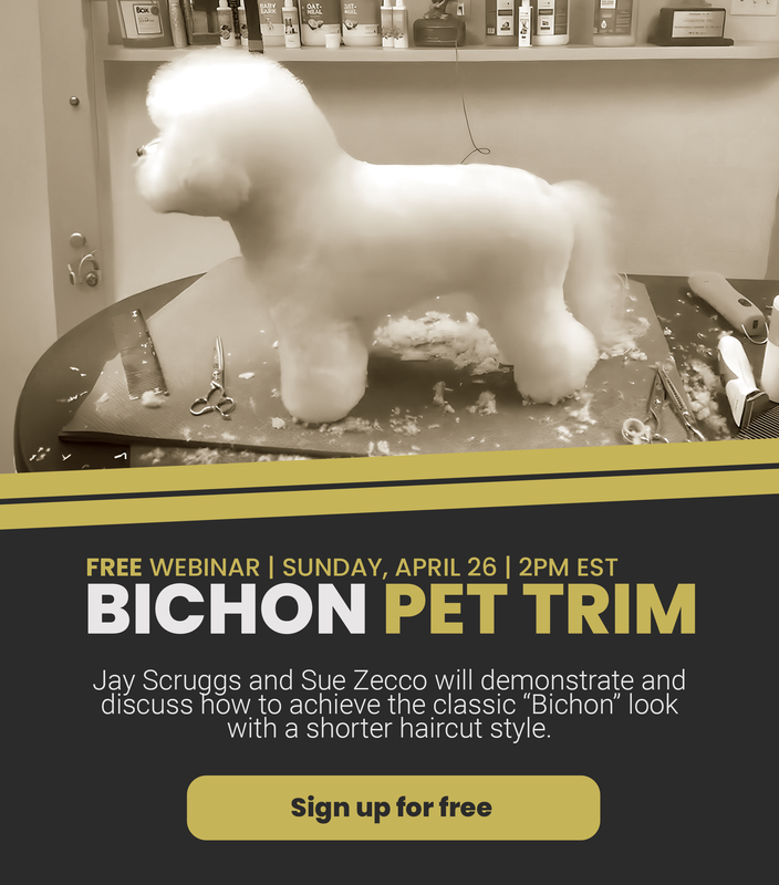BICHON Webinar Mobile