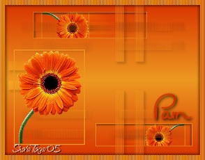 Pam-Orange-Floral