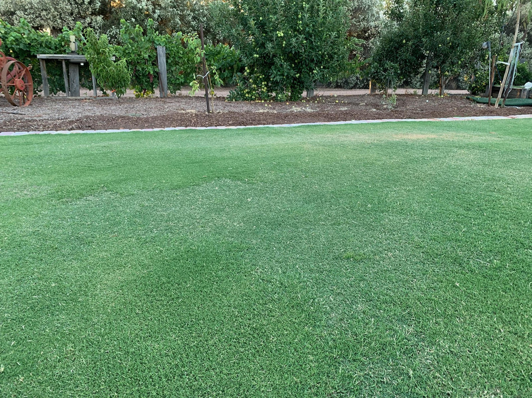 lawn1