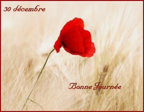 30-dec.jpg