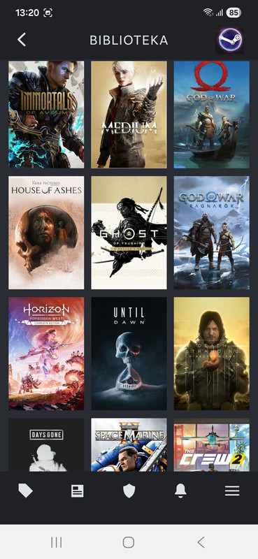 Screenshot-20260711-132059-Steam.jpg