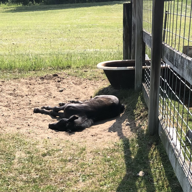 FEAAF3B6-9185-49B2-8A0B-1F67CC4B3636