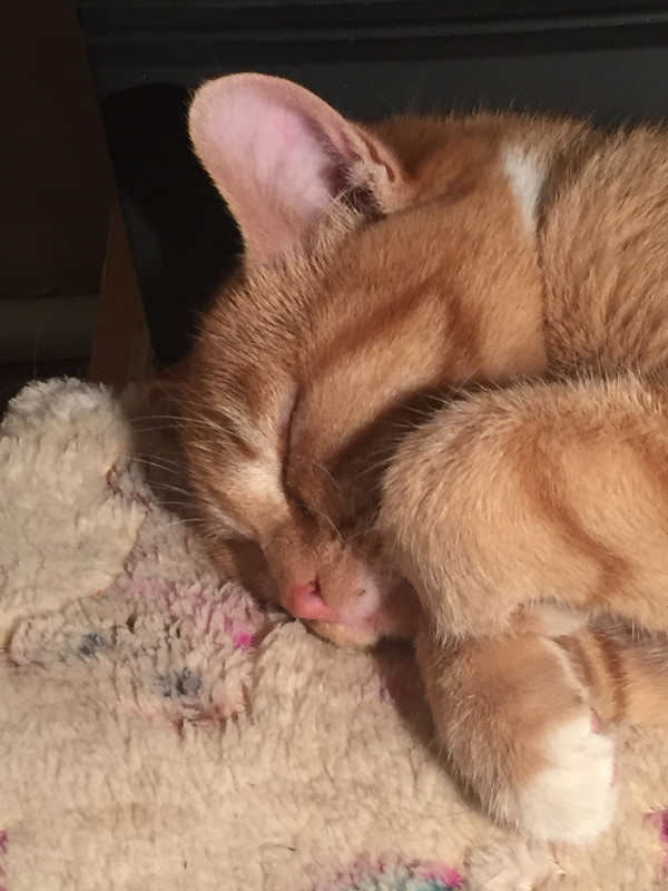 4BCB764D-5A32-47EE-A7EC-796E48EF1BE8