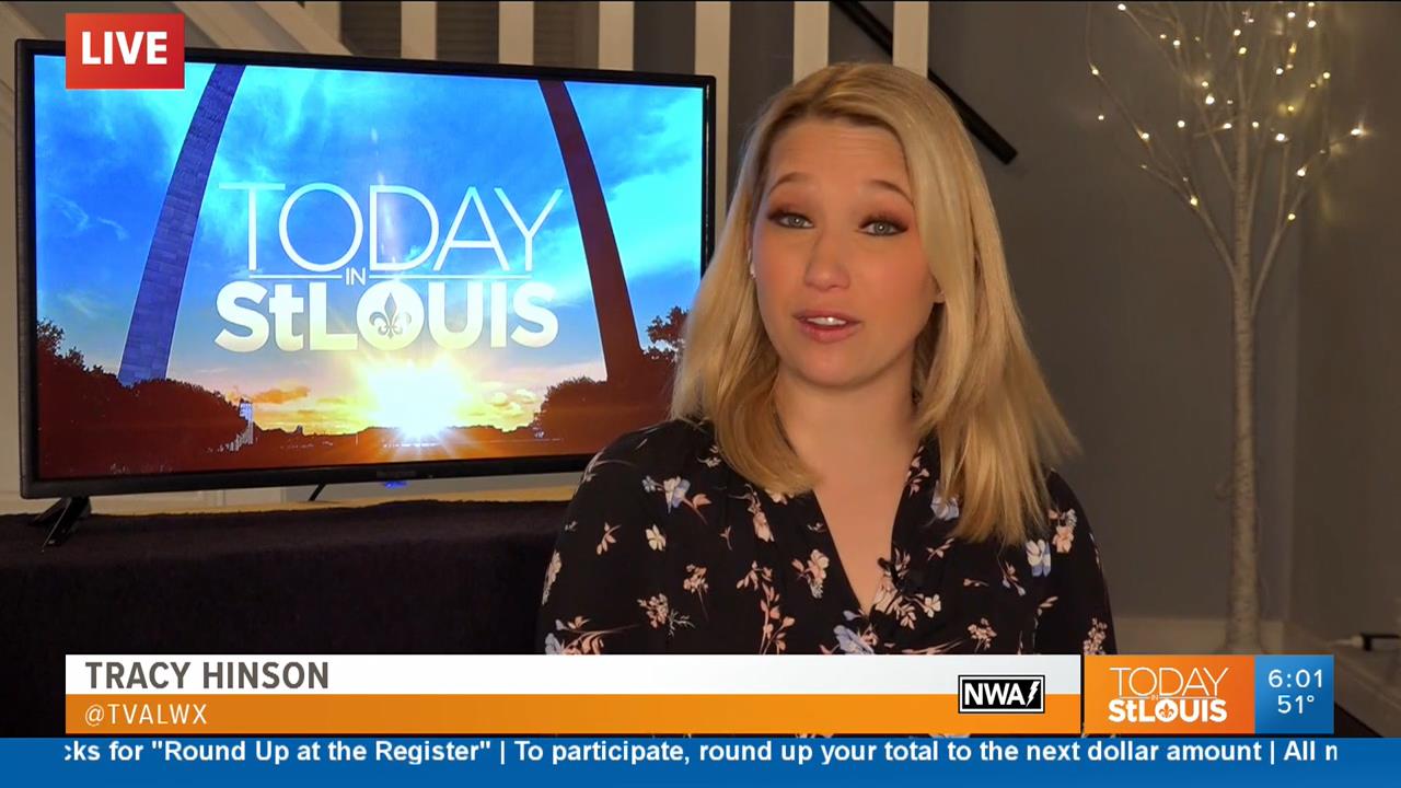 19 April - 12.00.00 - Today in St. Louis Weekend Edition. News.ts_snapshot_00.05.50_[2020.04.19_13.0