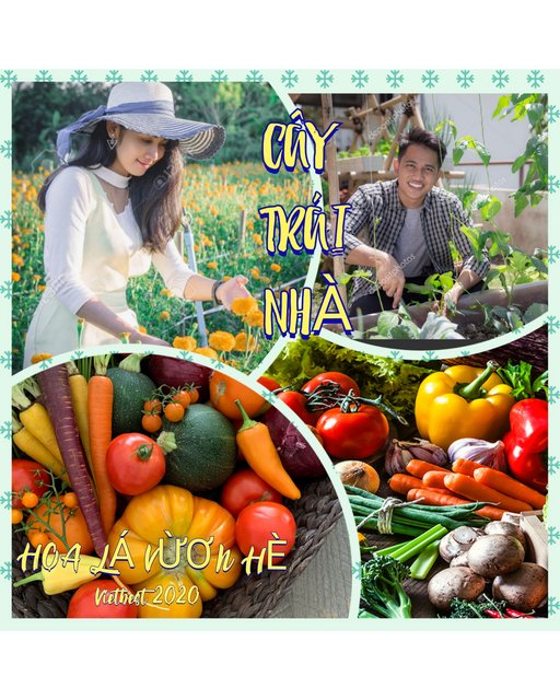 [Image: in-Collage-20200810-023802912.jpg]