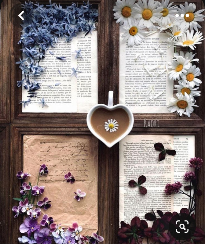 Screenshot_20230731_233424_Pinterest