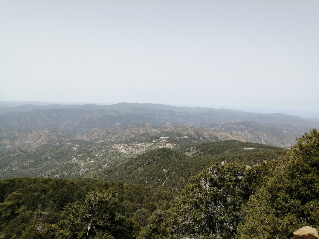 IMG_20240422_121958