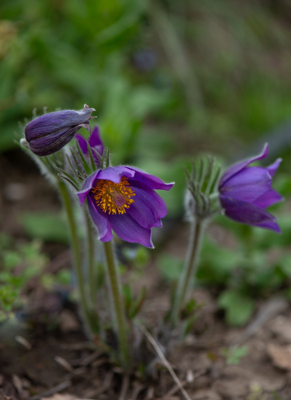 IMG-aaeb910f0552ba6f94859422cc8ede59-V