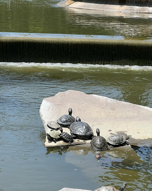 prayalundberg-1717248463-3380847614731005408-3244161