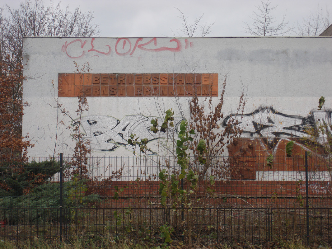 DSC08680.jpg