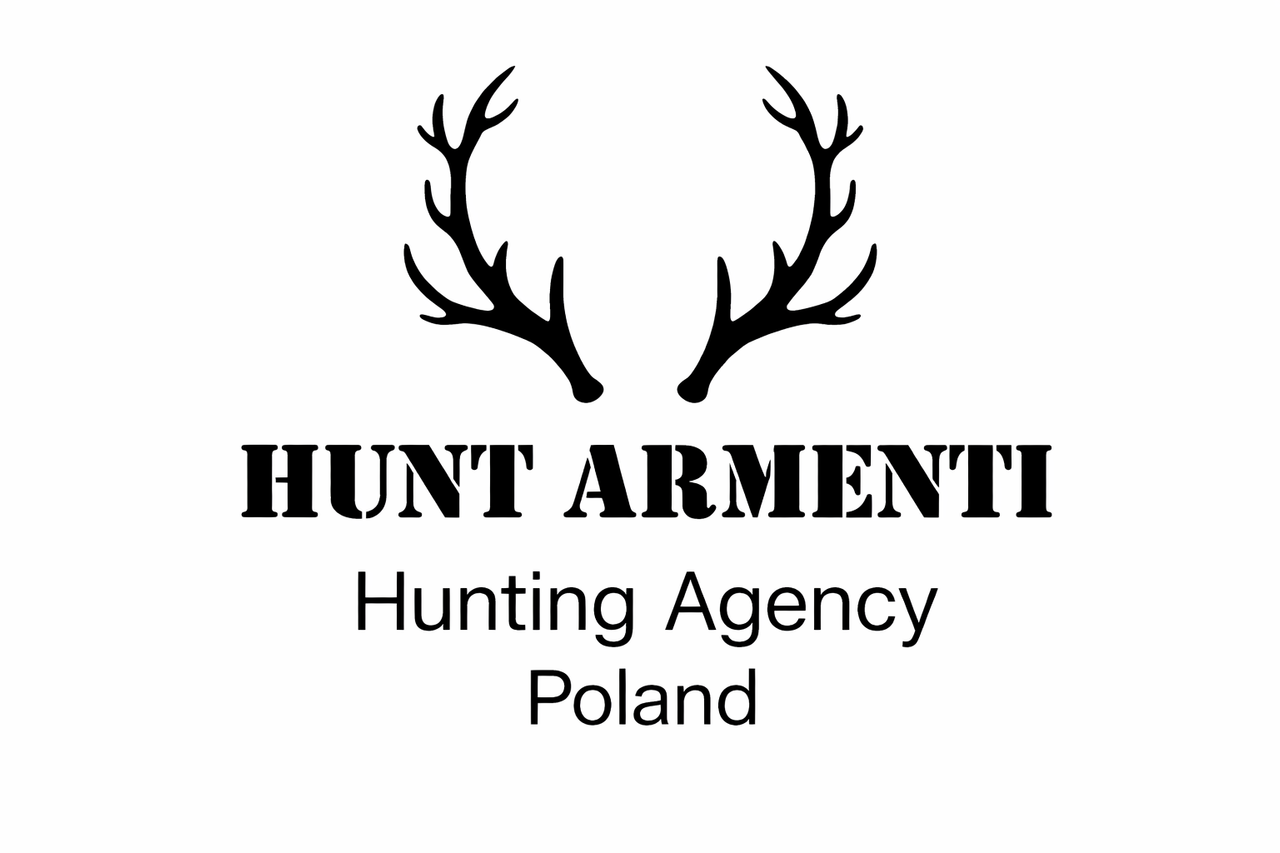 Logo Hunt Armenti