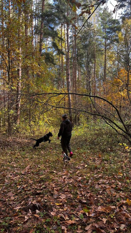 997351EF-B16E-4BB8-8291-D17B1C638A25