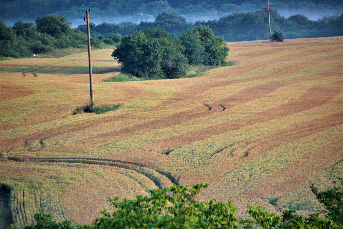 IMG 4005 — Postimages