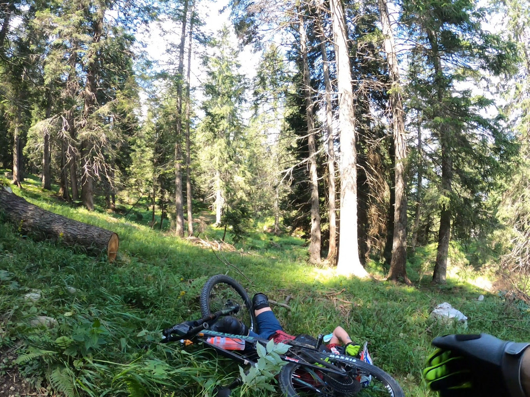 FF98973F-F3A7-48DA-9D6D-7F4A3F4585B7