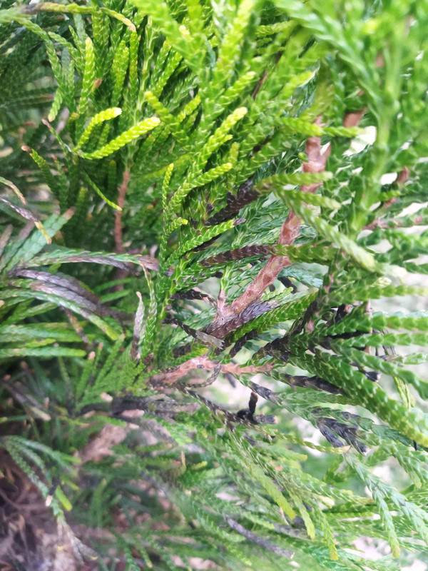 зображення_viber_2025-04-23_13-57-21-668