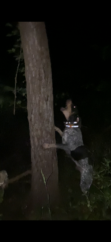 728FA948-072F-4521-8C62-EA1B1ED084C1