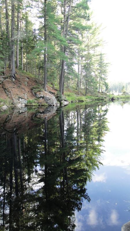 Algonquin - 3.000 km por el este de Canadá (7)