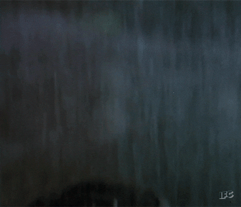 IMG-0159.gif