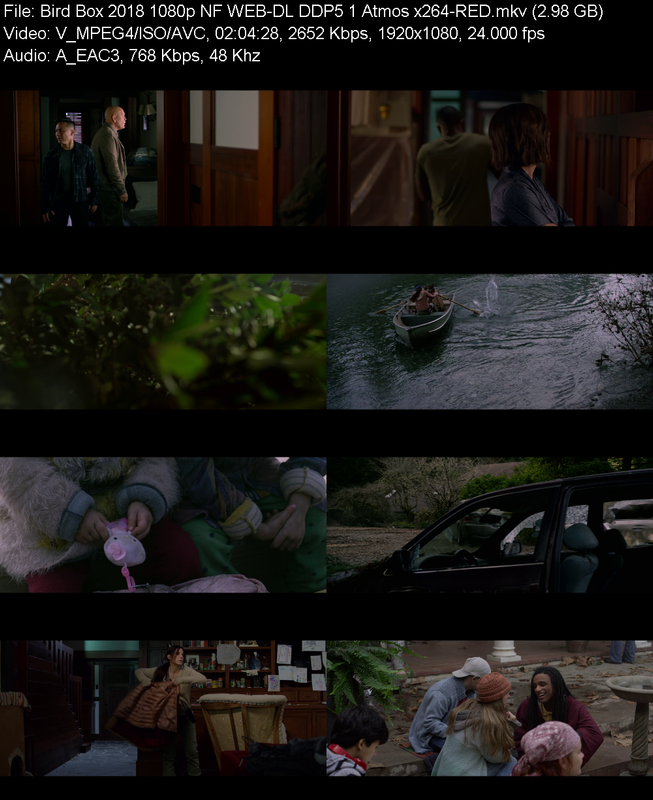 bird-box-2018-1080p-nf-web-dl-ddp5-1-atm