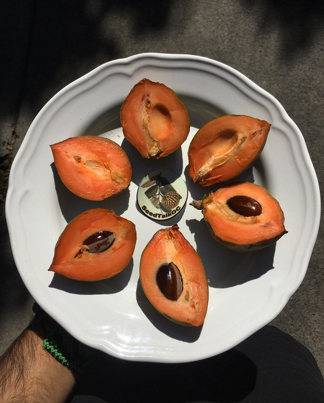 1803C6FE-FC51-4572-9D6C-147116C45823