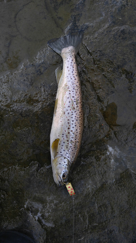 0510181316