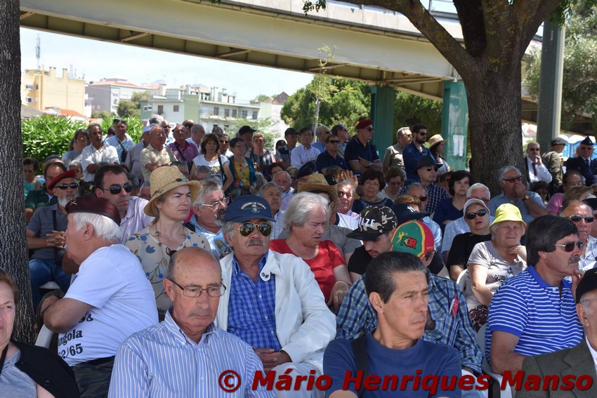 18954826_1489128337806729_6956241827811731701_o