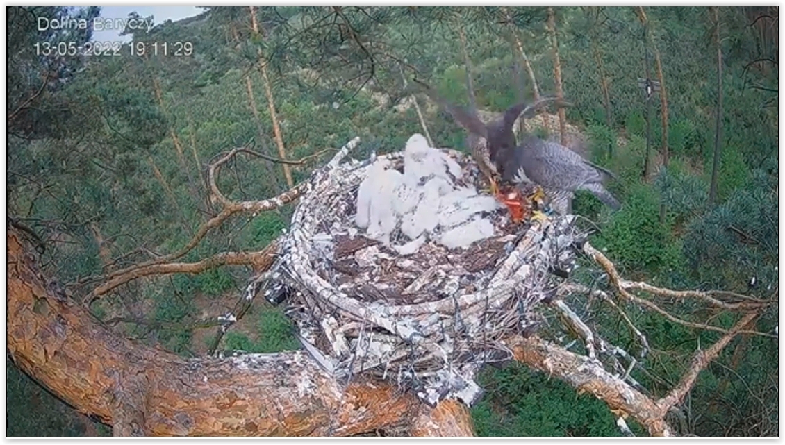 Screen Shot 05-14-22 at 10.03 AM