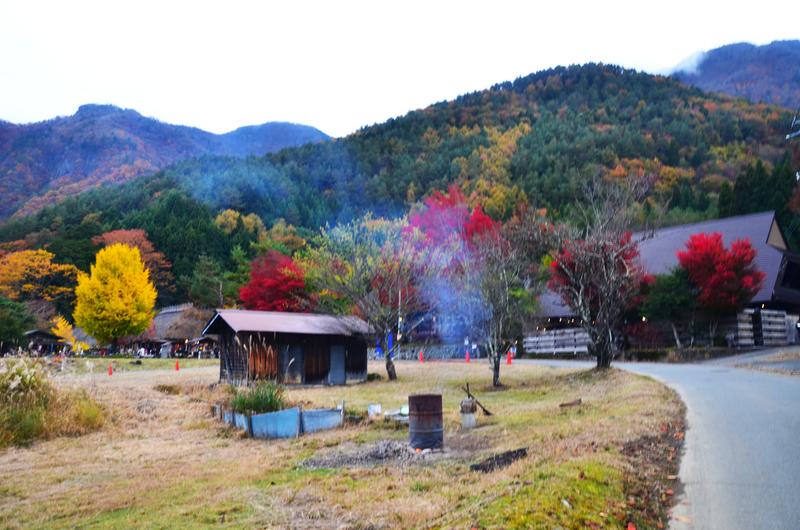 Saiko Iyashi no Sato Nenba-16-11-2024 - Japón y sus Pueblos-2024 (1)