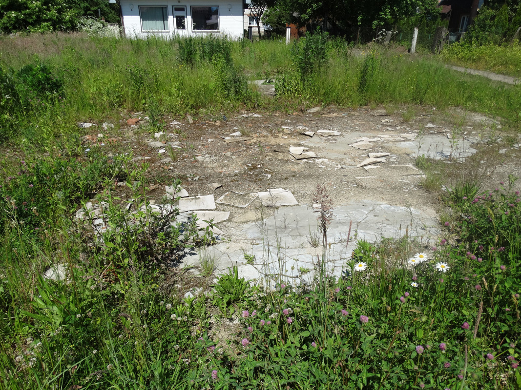 161 - DSC01441 (VdL)