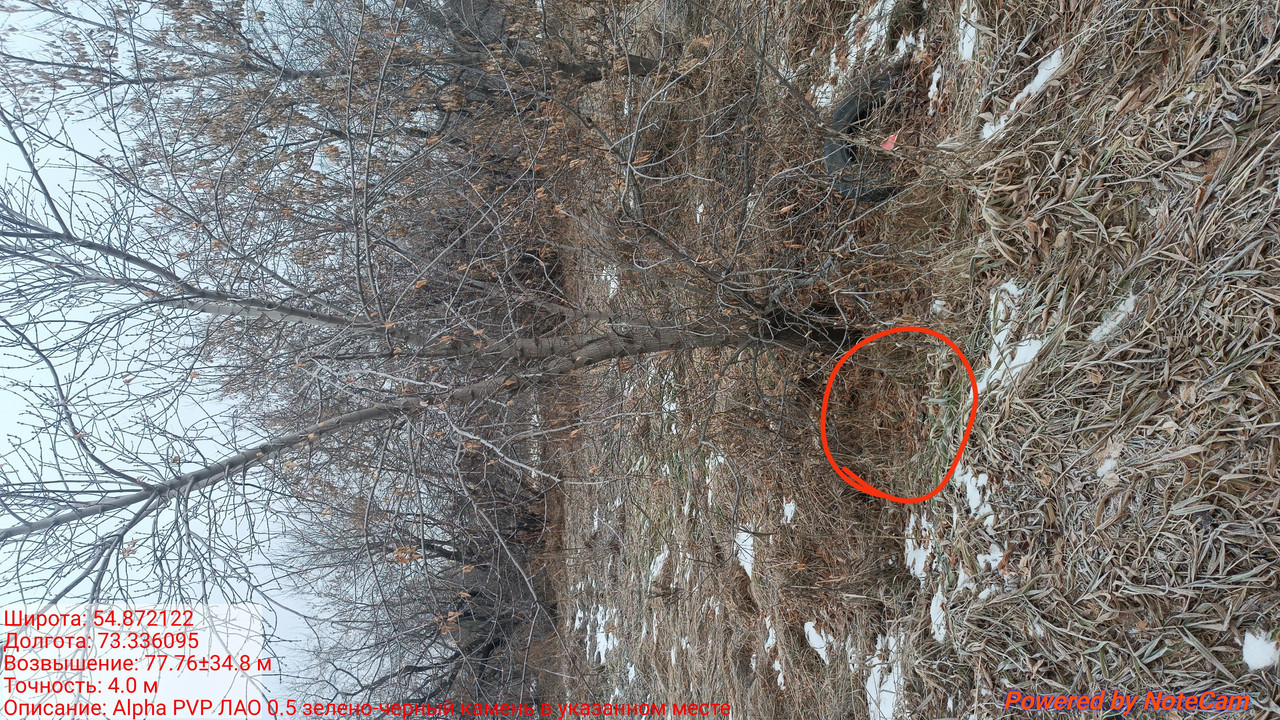 IMG 20251125 104707