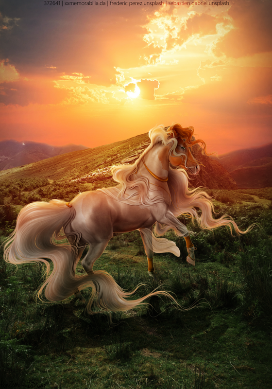 Zomb-s-Fancy-Pony-final.png