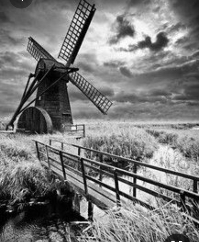 Screenshot_20230412_191451_Pinterest