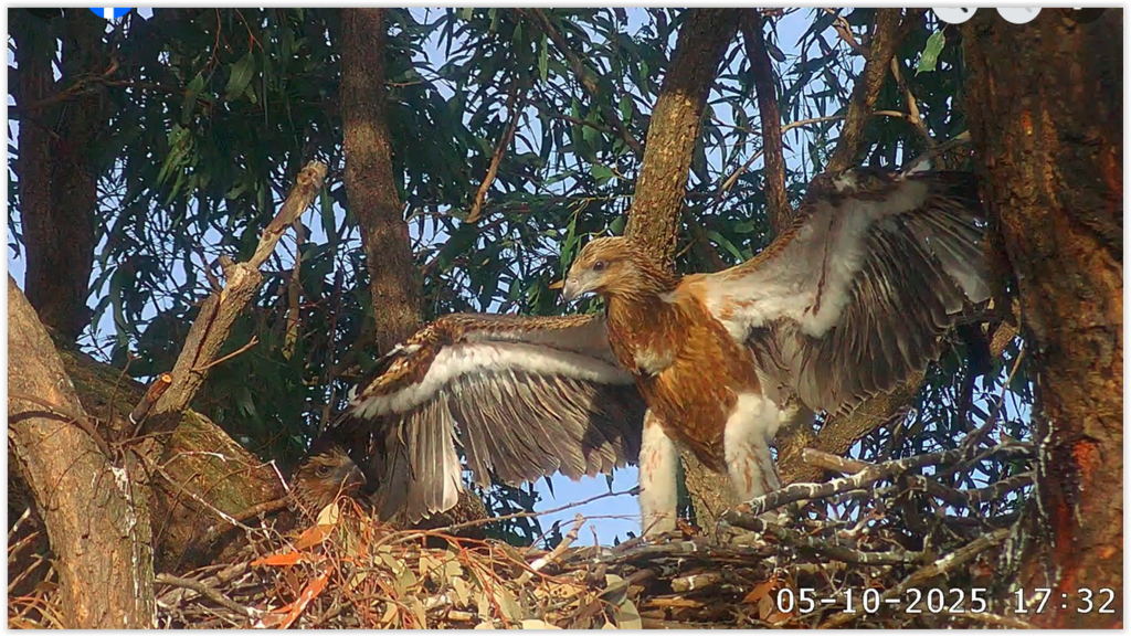 Screen Shot 10-05-25 at 10.58 AM 001