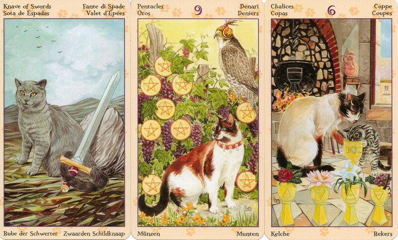 7-pagan-cats-knave-of-swords-9-of-pentacles-6-of-chalices1