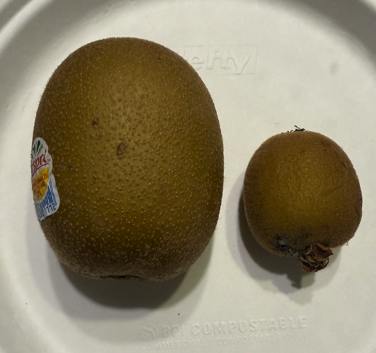 kiwi1