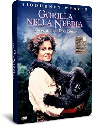 Gorilla-Nella-Nebbia.png