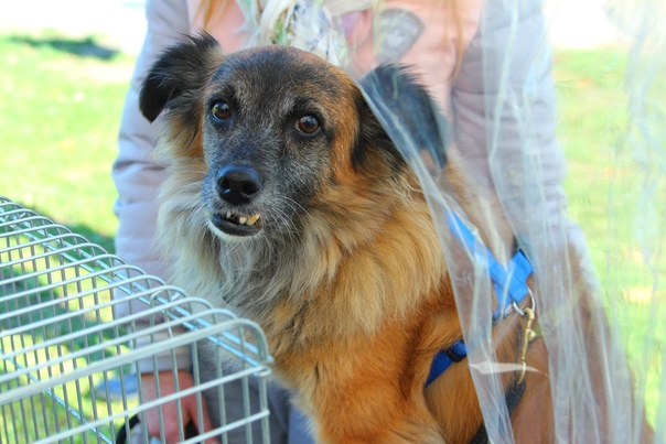 4EC221D6-BAD9-4487-91FA-4DEB59229A04