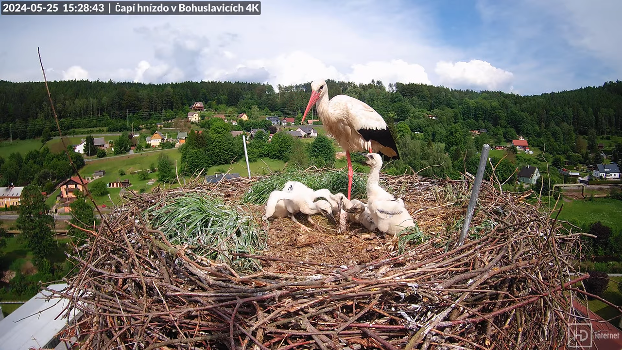 Tiešraidē no uzņēmuma KARA stārķa skursteņa Bohuslavicē pie Trutnovas 11-15-48 screenshot