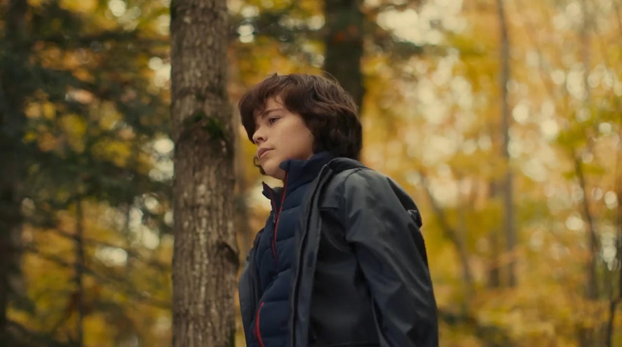 Hero Dog: The Journey Home 2021 WebRip [Hindi + Tamil + English] 480p 720p ESub Screenshot