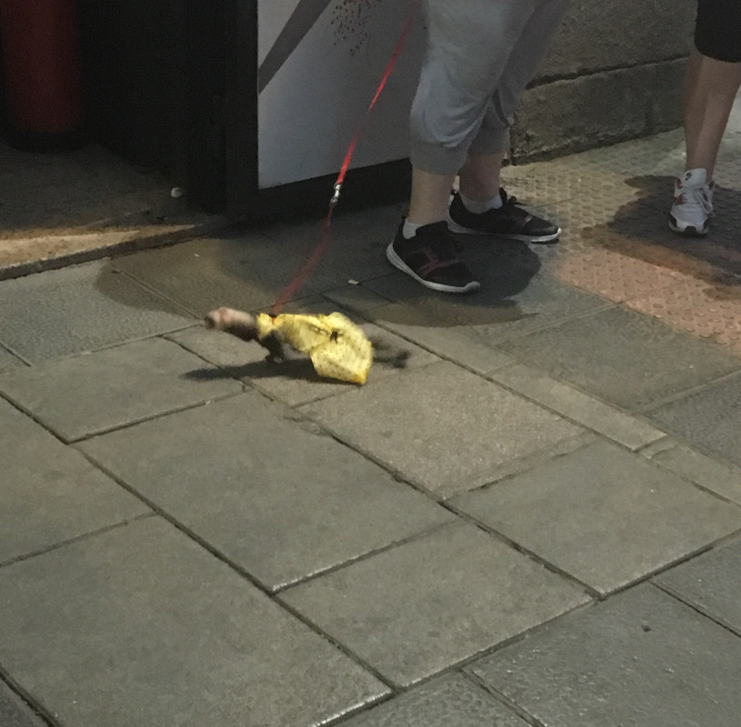 F9508B7C-B902-4532-949B-6714F154BD9B