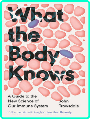 [Image: ax58o6zyl4lv.png]